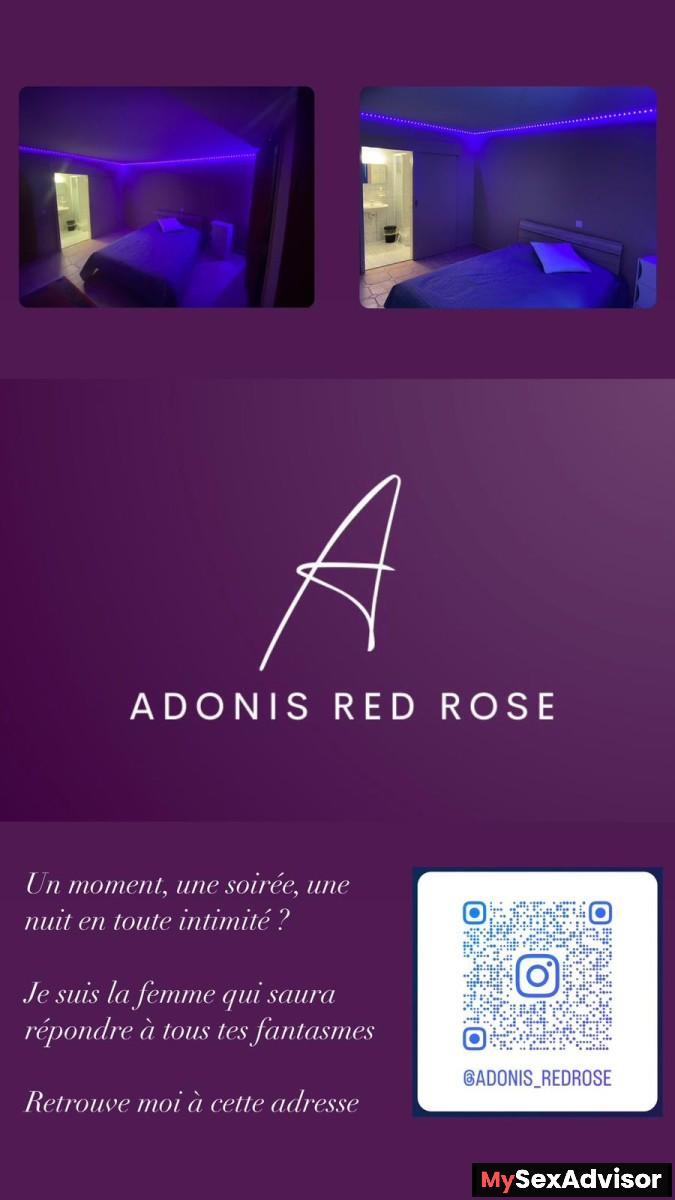 Adonis RedRose profile